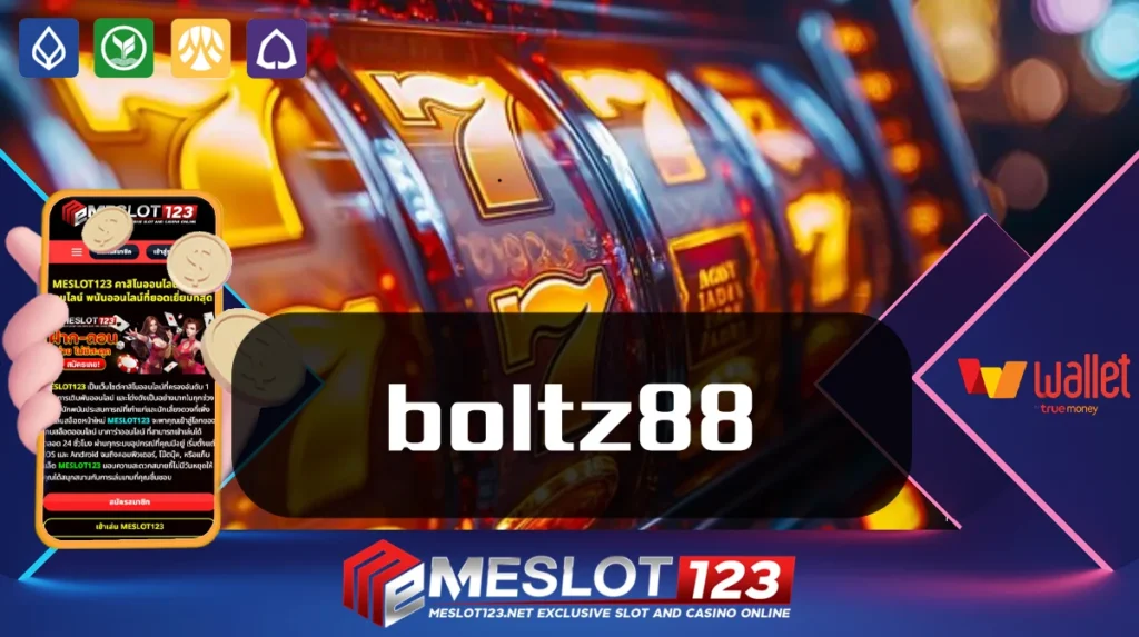 boltz88